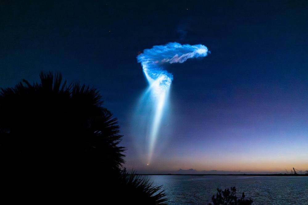 Jellyfish effect